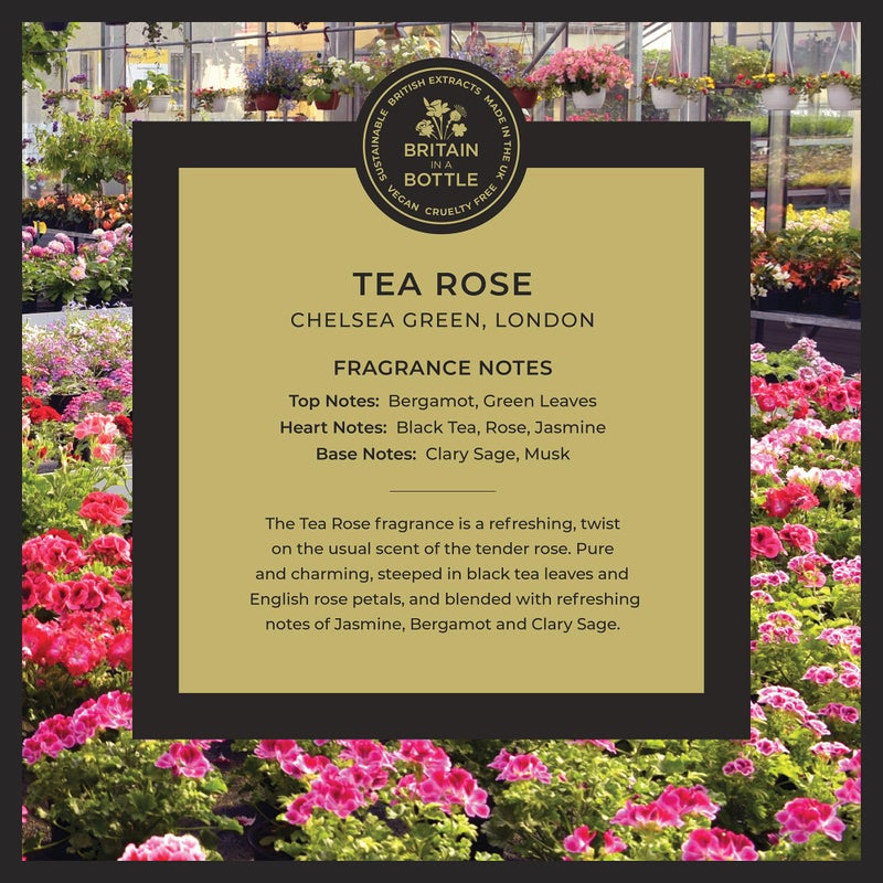 Noble Isle Tea Rose Bath & Shower Gel | Luxury Body Wash for Women with Fine British Fragrance Oils | Vegan Body Wash & Paraben Free Body Wash (8.45 oz) - Image 2